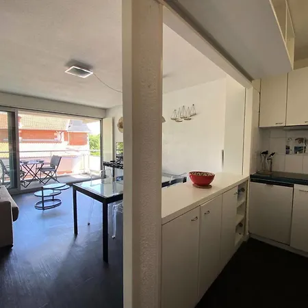 Joigny - T2 Avec Vue Laterale Sur La Mae-9811