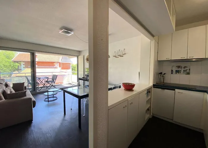 Joigny - T2 Avec Vue Laterale Sur La Mae-9811